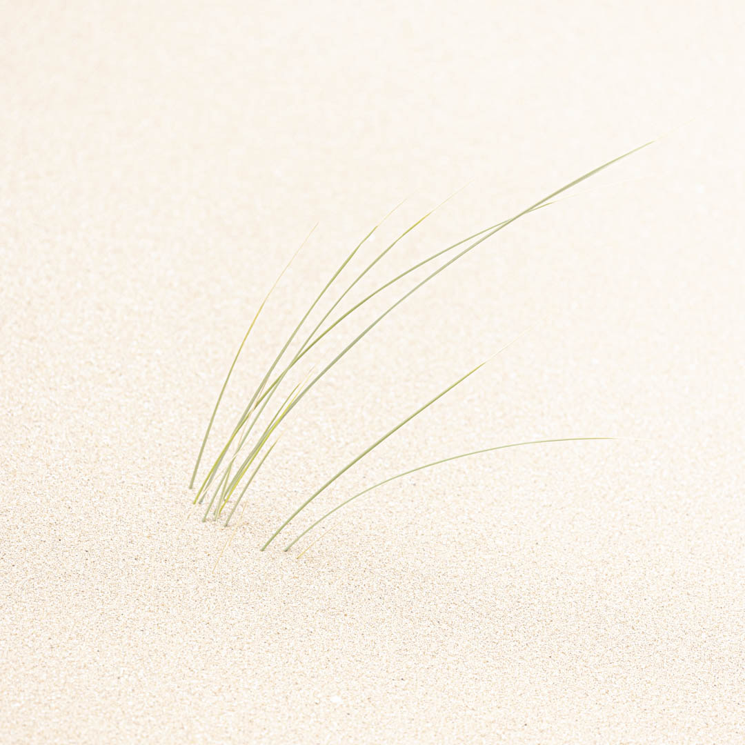 clickable link to portfolio