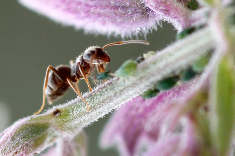 clickable link to portfolio