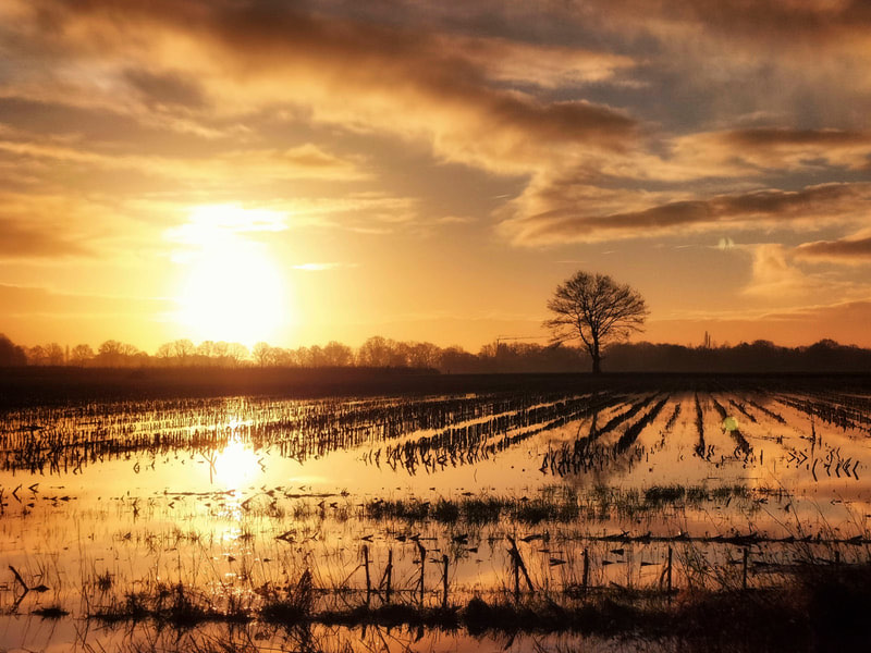 clickable link to portfolio