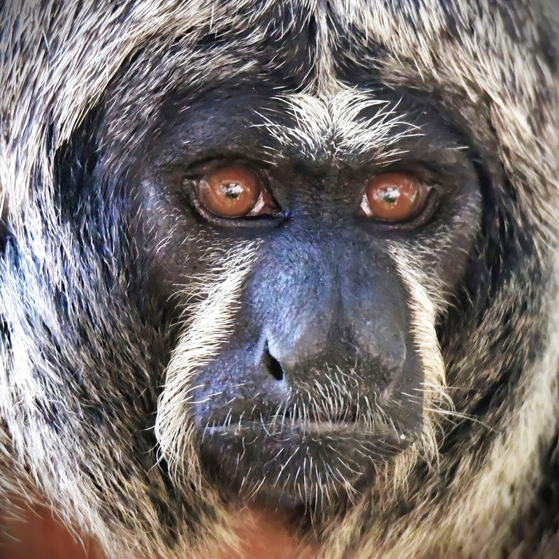 clickable link to portfolio