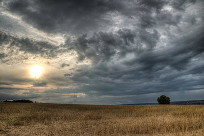 clickable link to portfolio