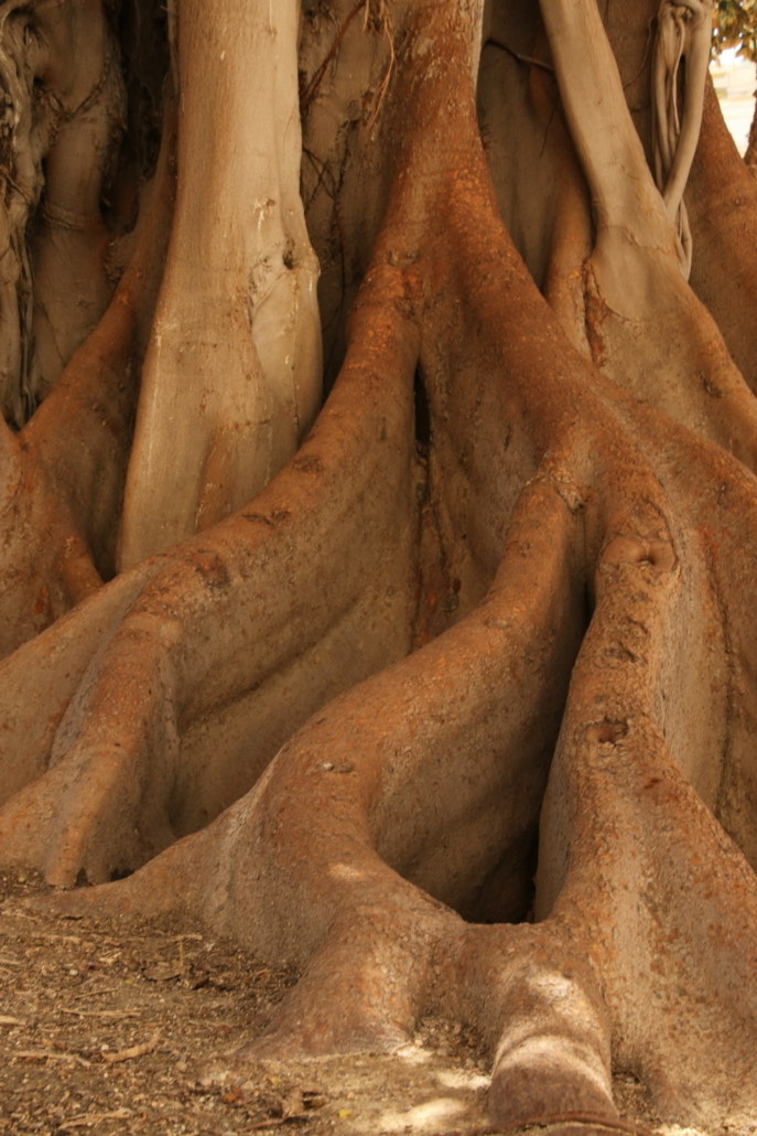 clickable link to portfolio