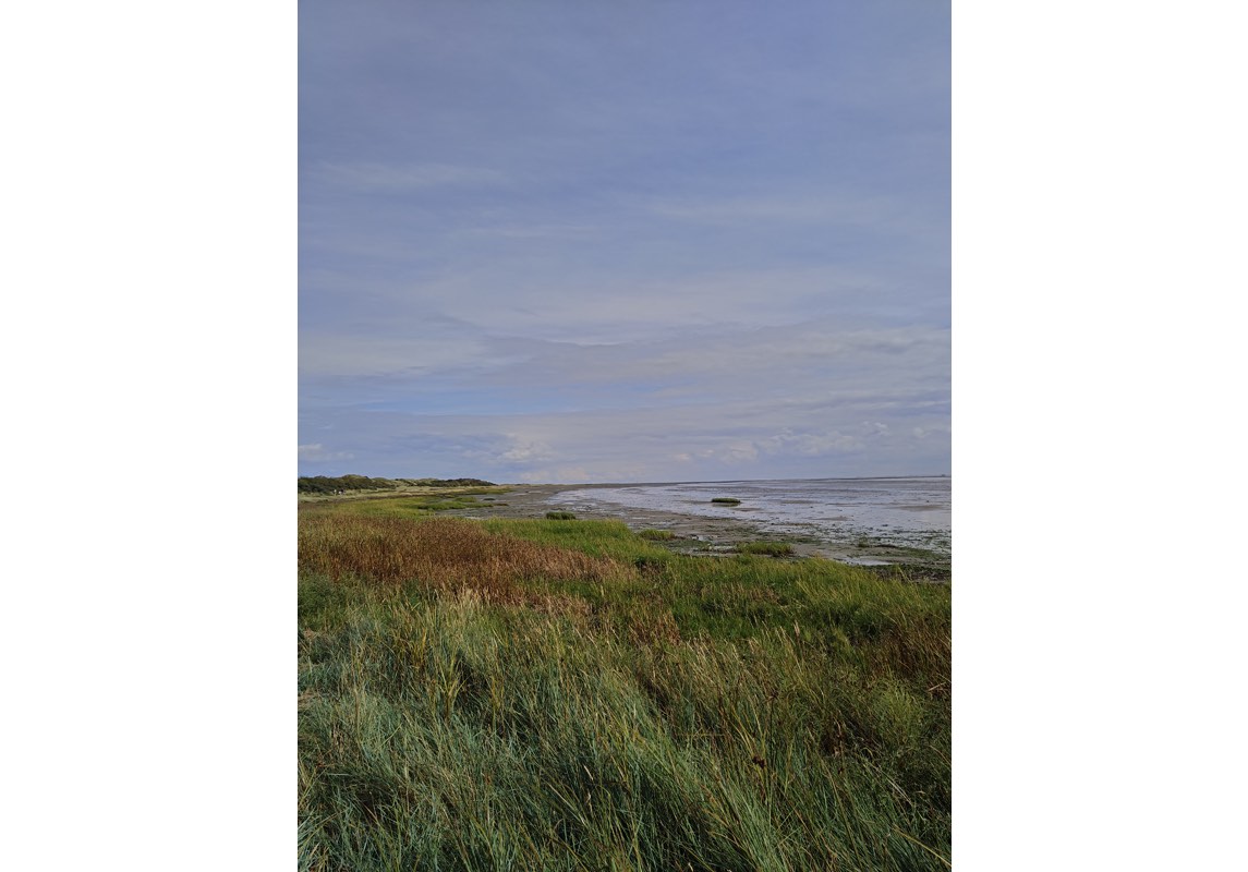 clickable link to portfolio