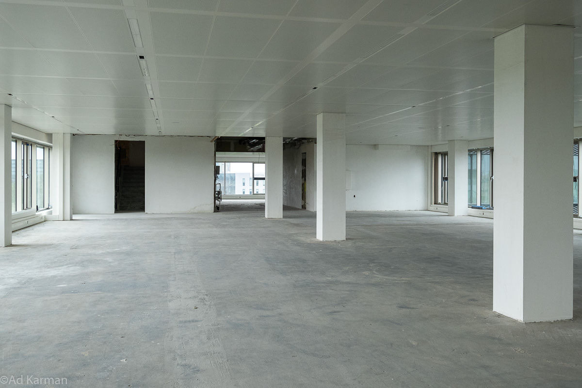 clickable link to portfolio