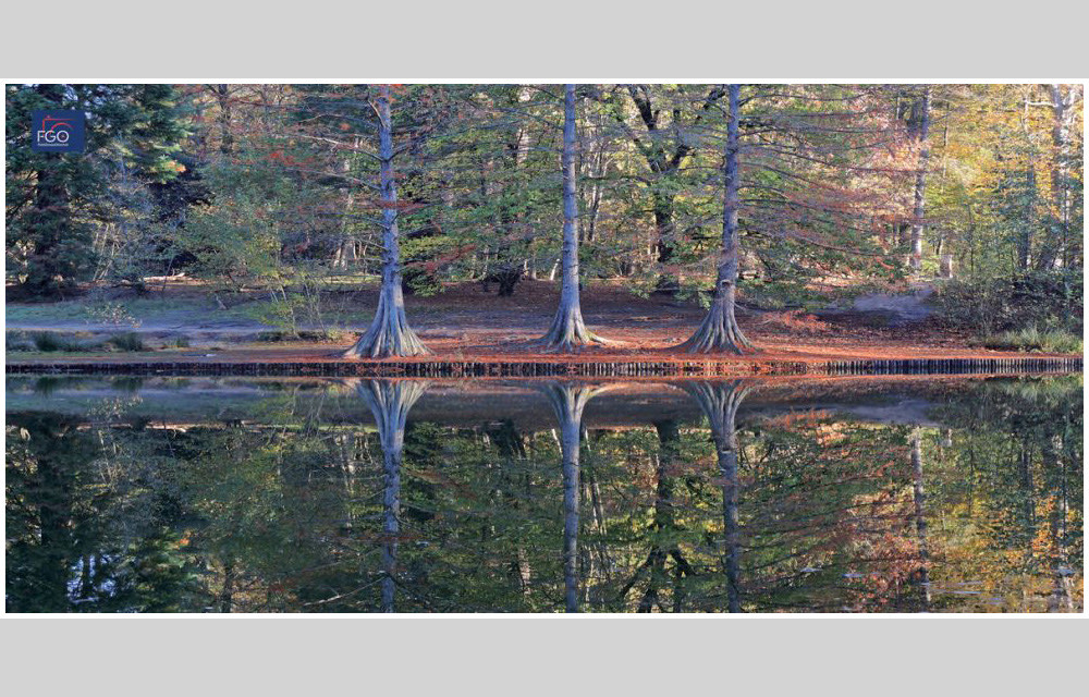 clickable link to portfolio