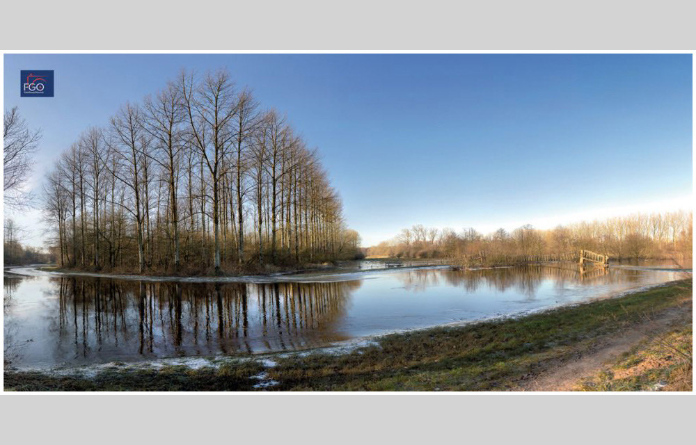 clickable link to portfolio