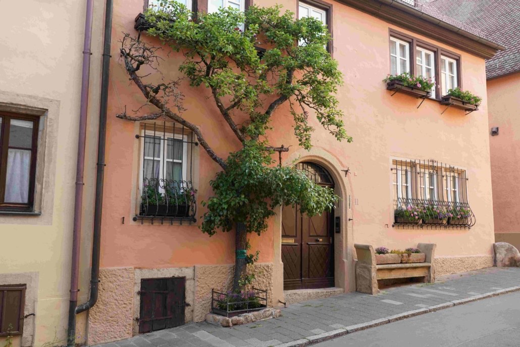 clickable link to portfolio