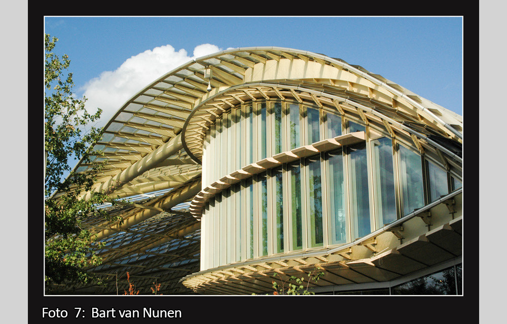 clickable link to portfolio