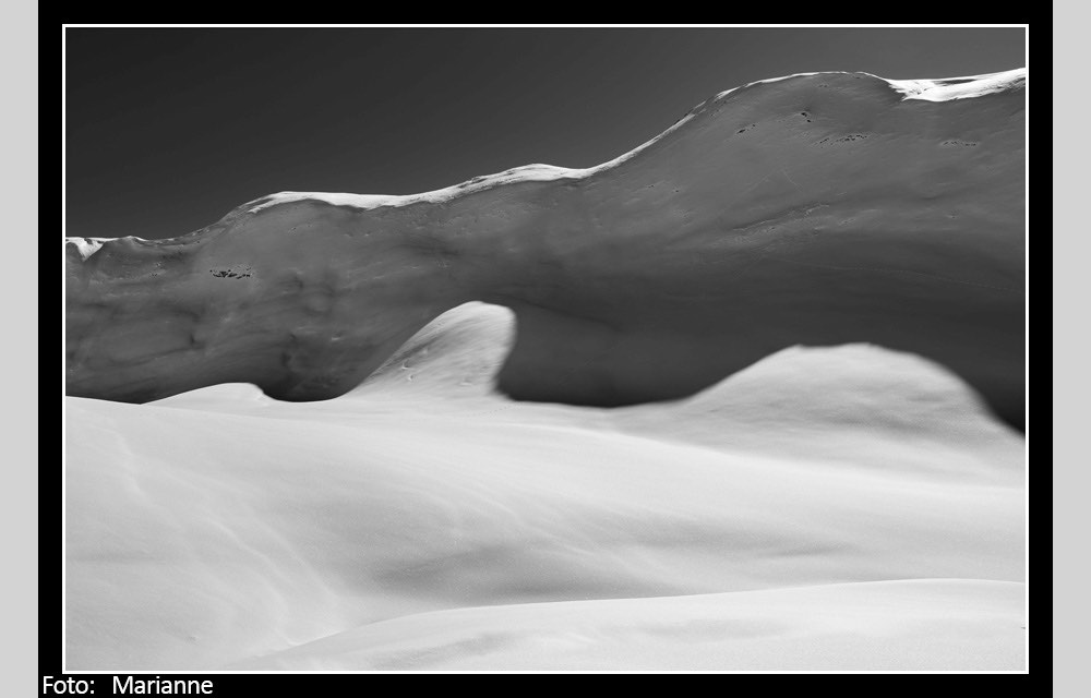 clickable link to portfolio