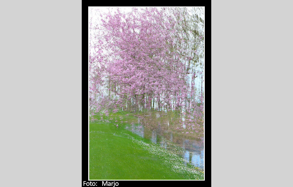 clickable link to portfolio