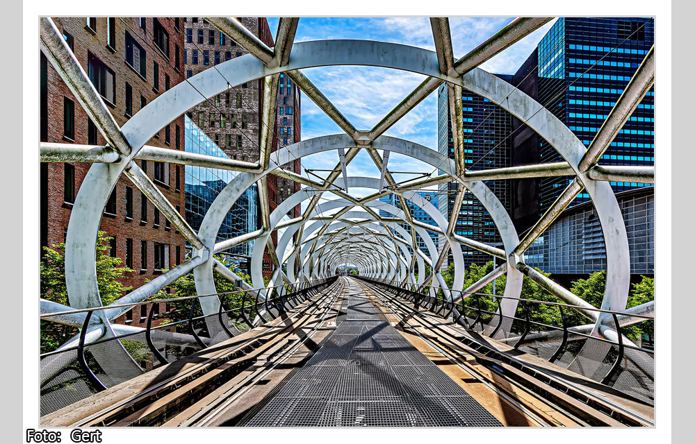 clickable link to portfolio