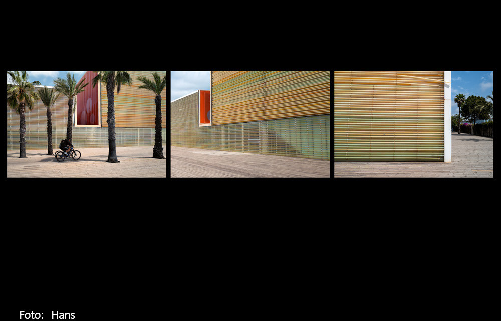 clickable link to portfolio