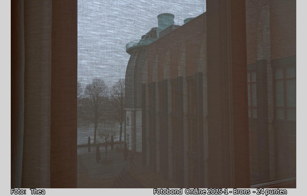 clickable link to portfolio