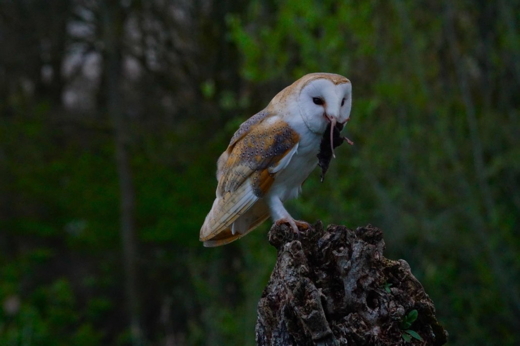 clickable link to portfolio