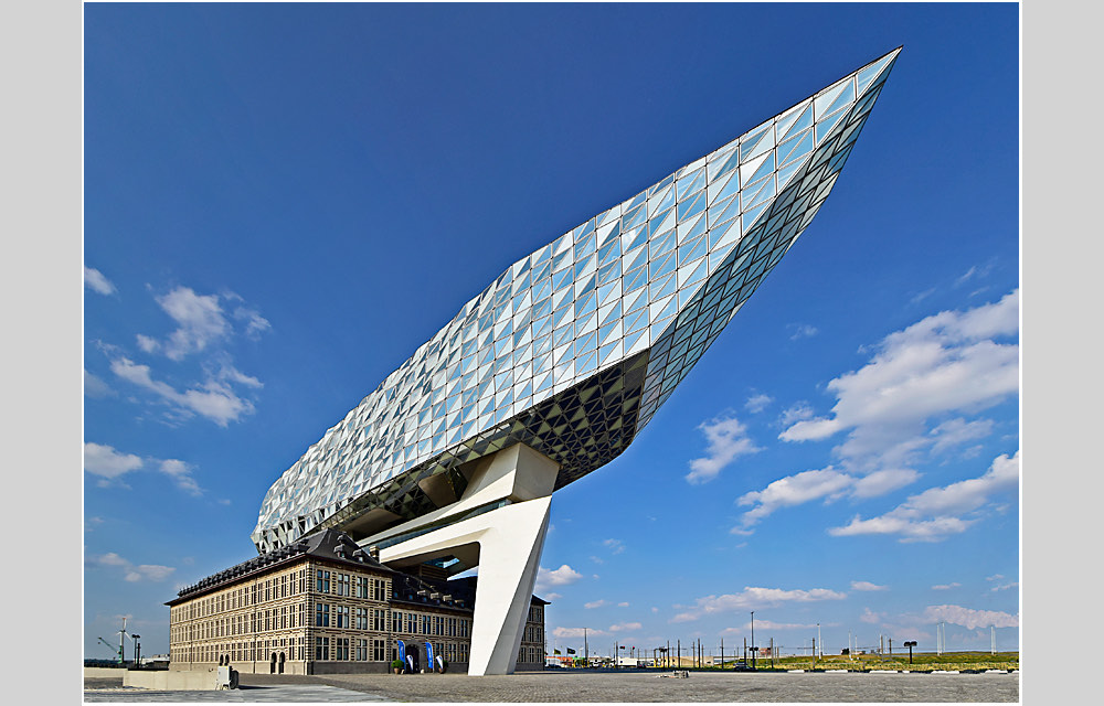 clickable link to portfolio