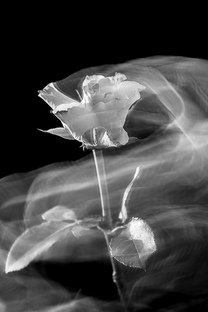 clickable link to portfolio