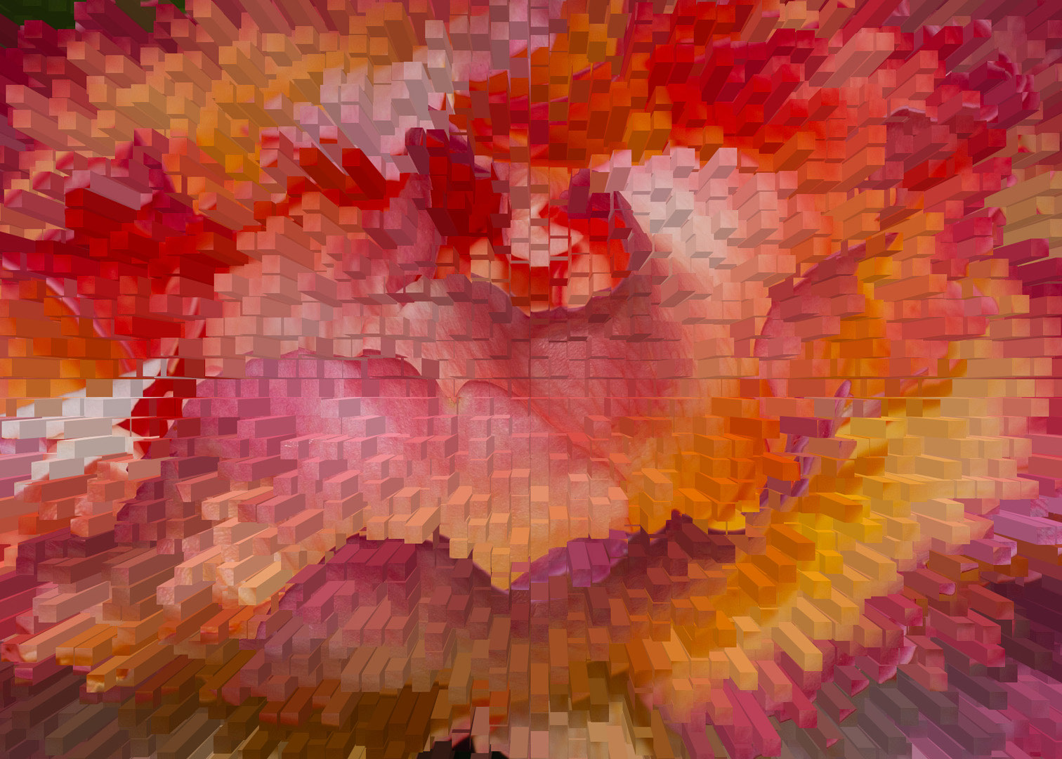 clickable link to portfolio