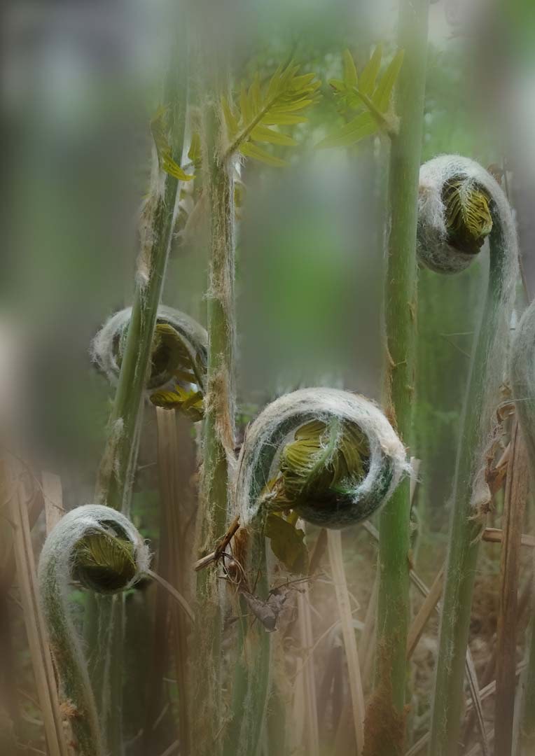 clickable link to portfolio