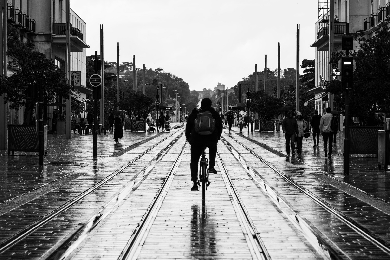 clickable link to portfolio